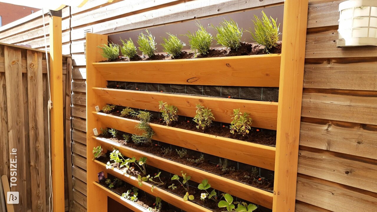 Homemade spice rack in a vertical garden, by Roel