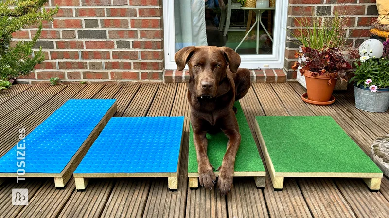 Tabla de adiestramiento para perros DIY, de Nina