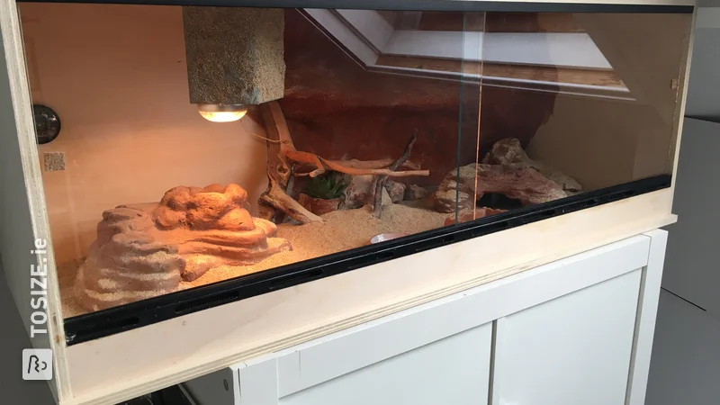 Reptile enthusiast Anthony made this custom terrarium