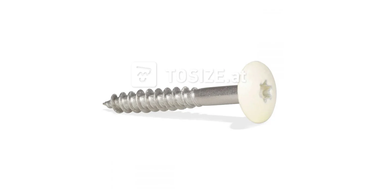 HPL-Trespa® screw 4.8 x 38 mm T20 RAL9010