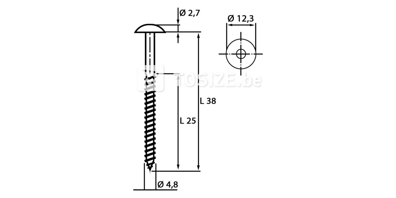 HPL-Trespa® schroef 4.8 x 38 mm T20 RAL9001