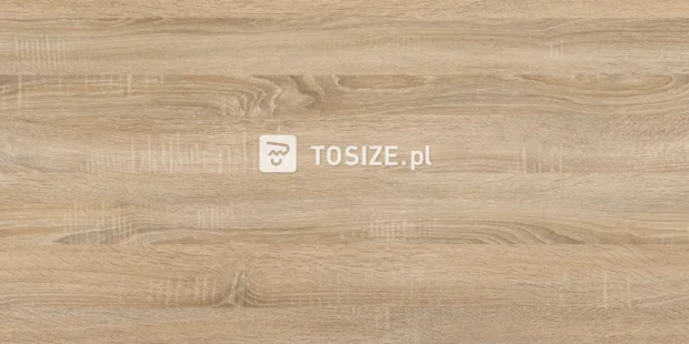 Furniture Board Chipboard R20128 RU Sonoma oak light