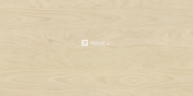 Panneau d'ameublement aggloméré R55064 FL Jerusalem pine 18 mm