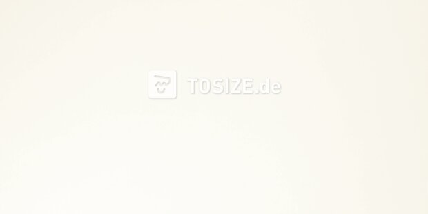 Möbelbauplatte MDF 025 TST Front white