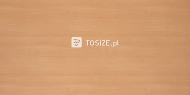 Furniture Board Chipboard 747 CST Jura beech 18 mm