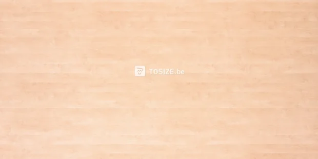 Furniture Board Chipboard H720 BST White birch 18 mm