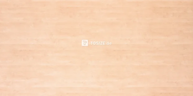 Furniture Board Chipboard H720 BST White birch 18 mm