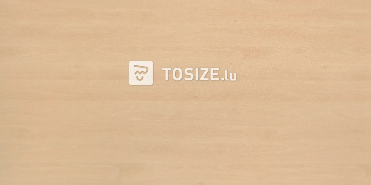 Plywood Interior Beech