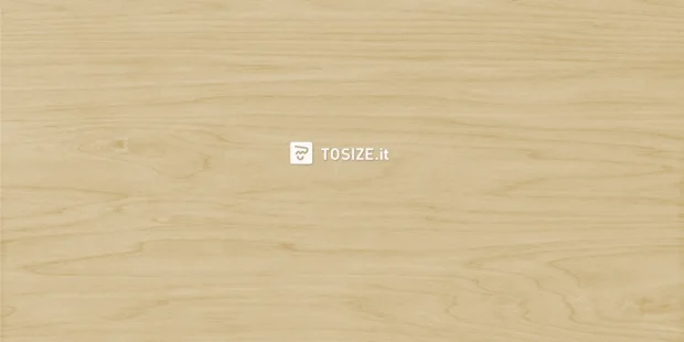 Plywood Poplar water-resistant 10 mm
