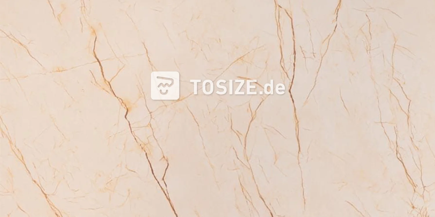Luxus Wandplatte Marmor beige (BLZ)