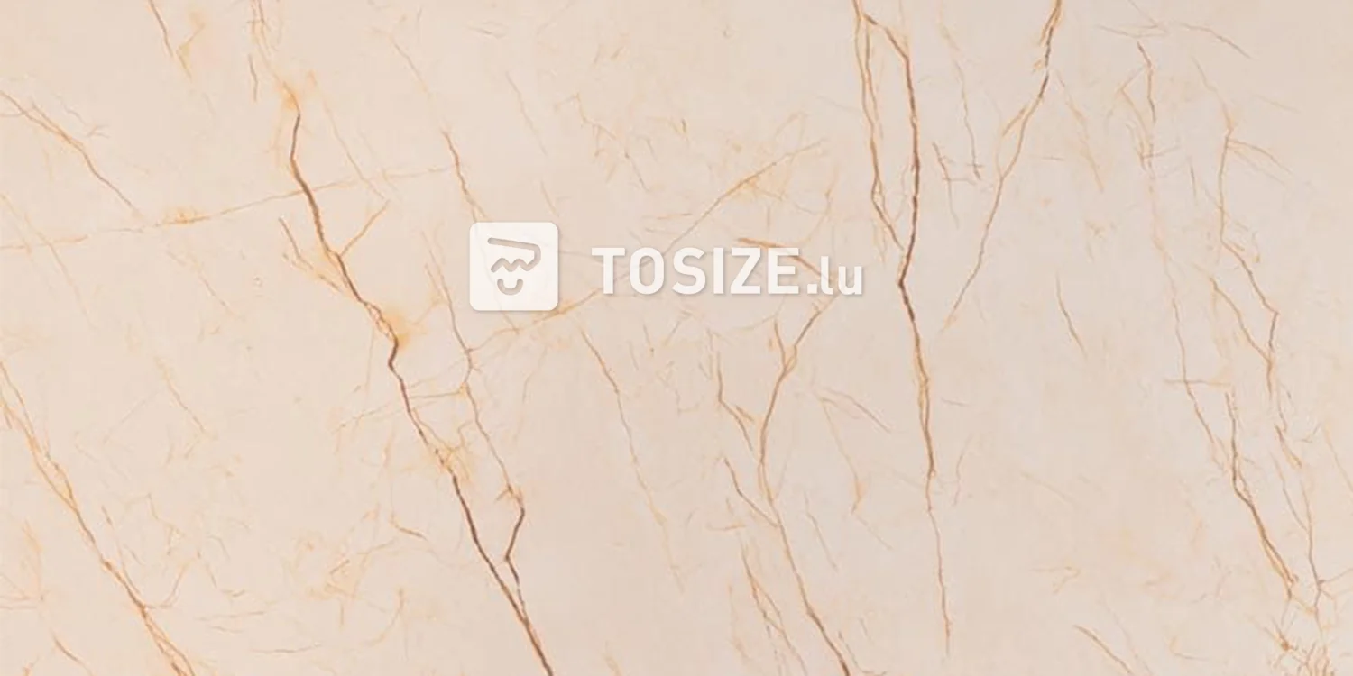 Panneau mural de luxe marbre beige (BLZ)