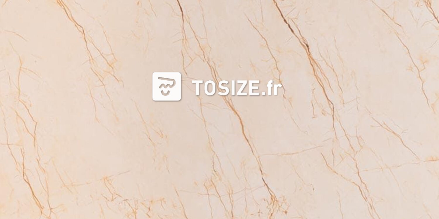 Panneau mural de luxe marbre beige (BLZ)