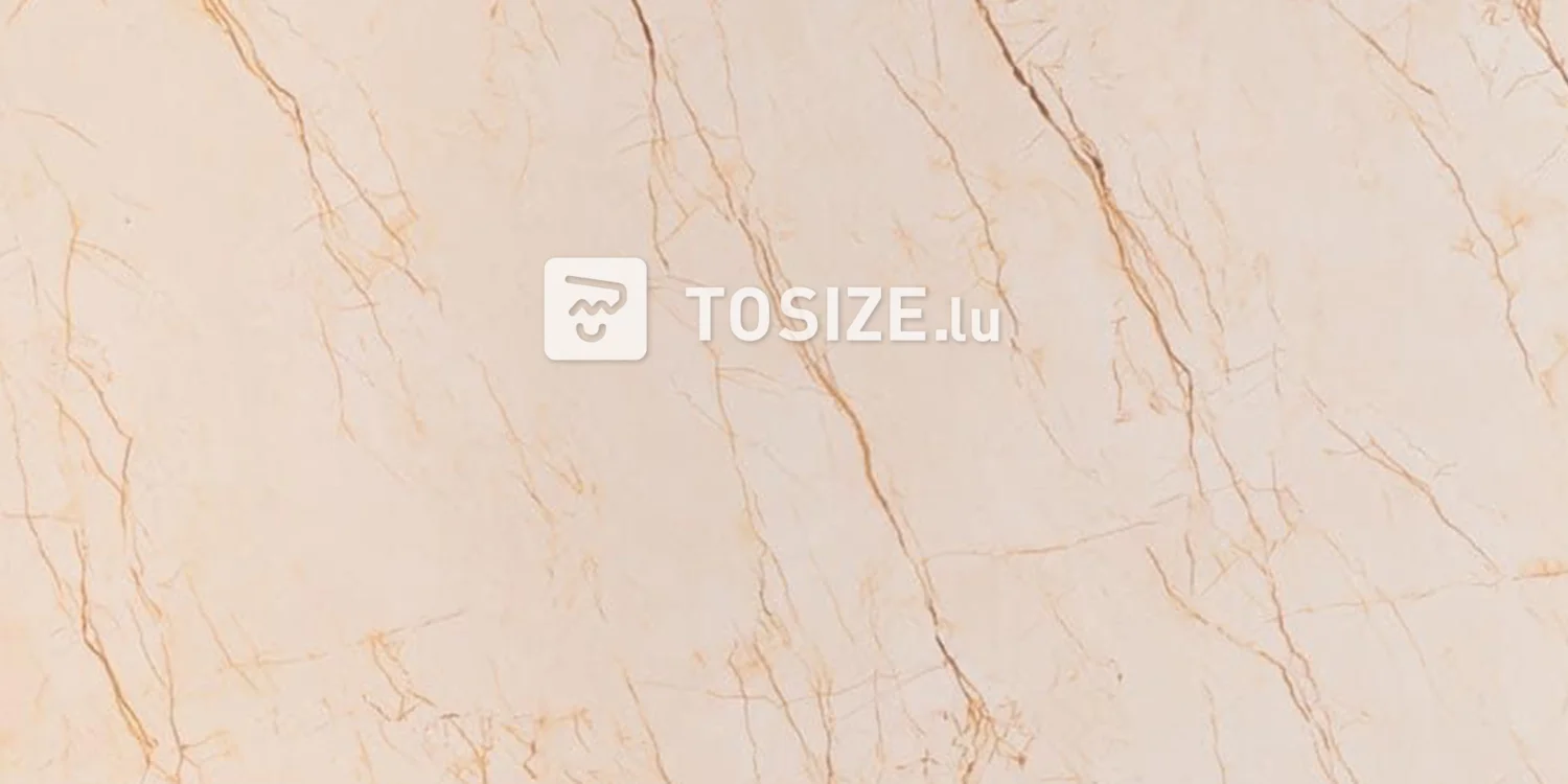 Panneau mural de luxe marbre beige (BLZ)