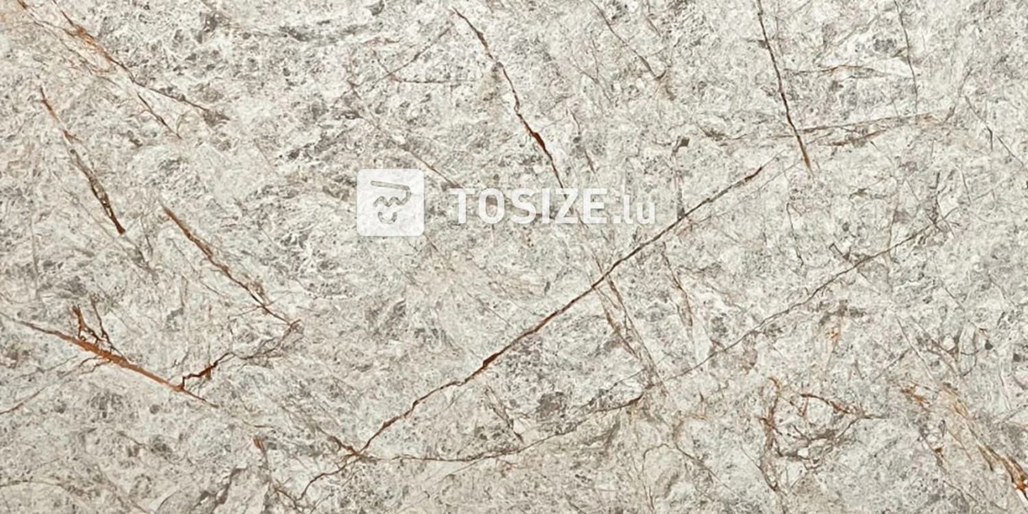 Panneau mural de luxe marbre gris (RCC)
