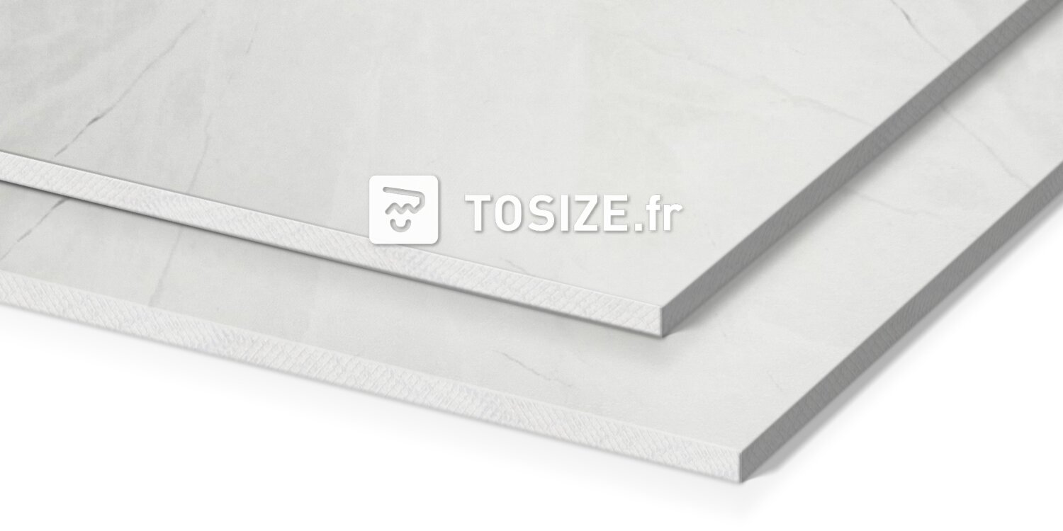 Panneau mural de luxe en marbre gris clair (LCCO)