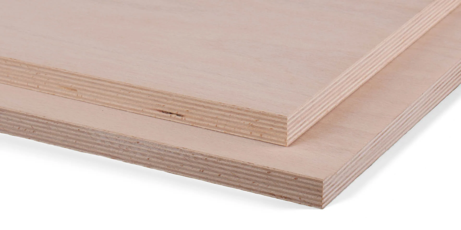 Beech plywood