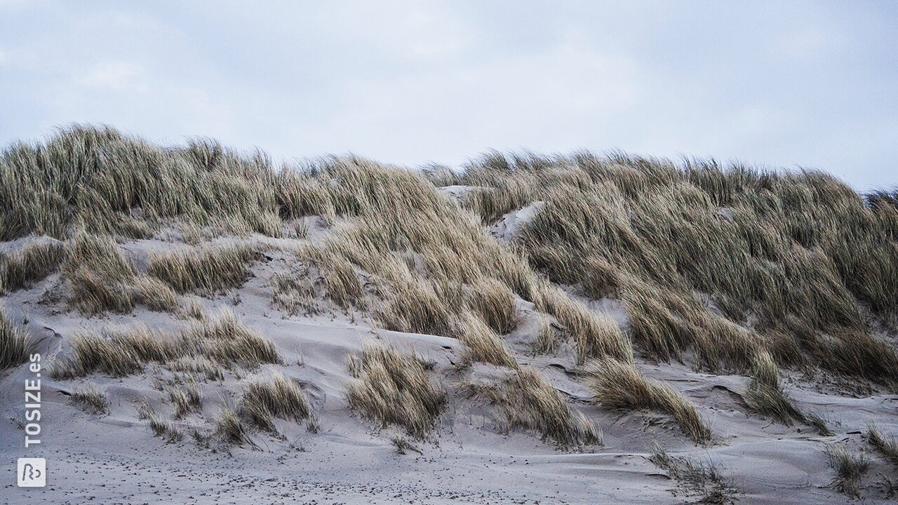 Las dunas