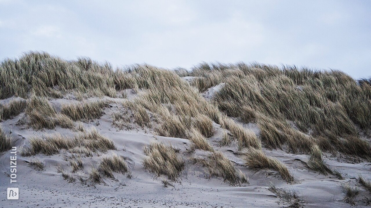 Les dunes