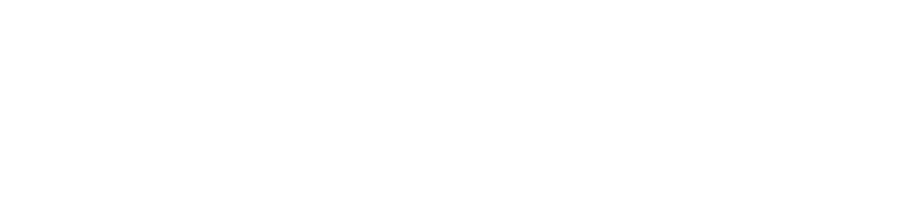 Logo TOSIZE.ie