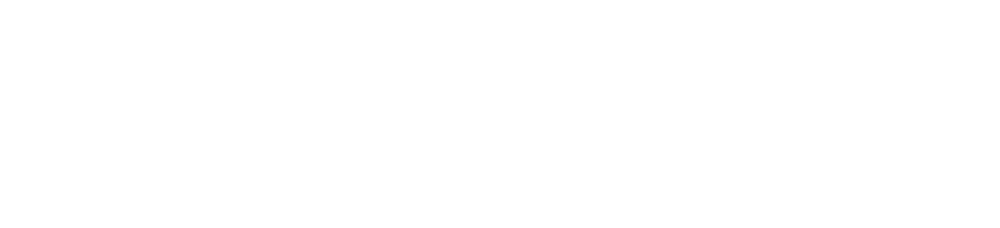 Logo TOSIZE.it