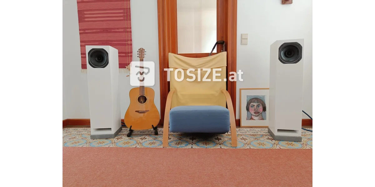 Eine maßgefertigte Full-Range-Soundbox aus MDF | TOSIZE.at